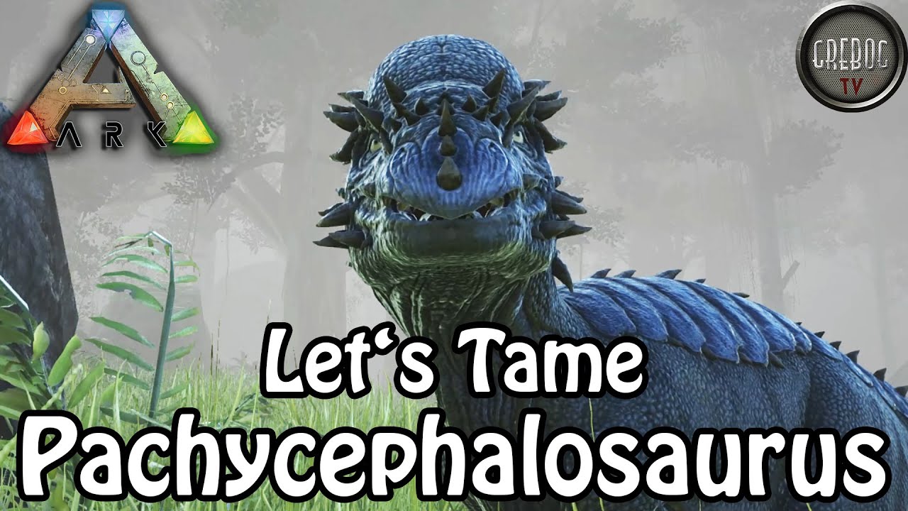 Ark: Survival Evolved - Let's Tame: Pachycephalosaurus (deutsch)