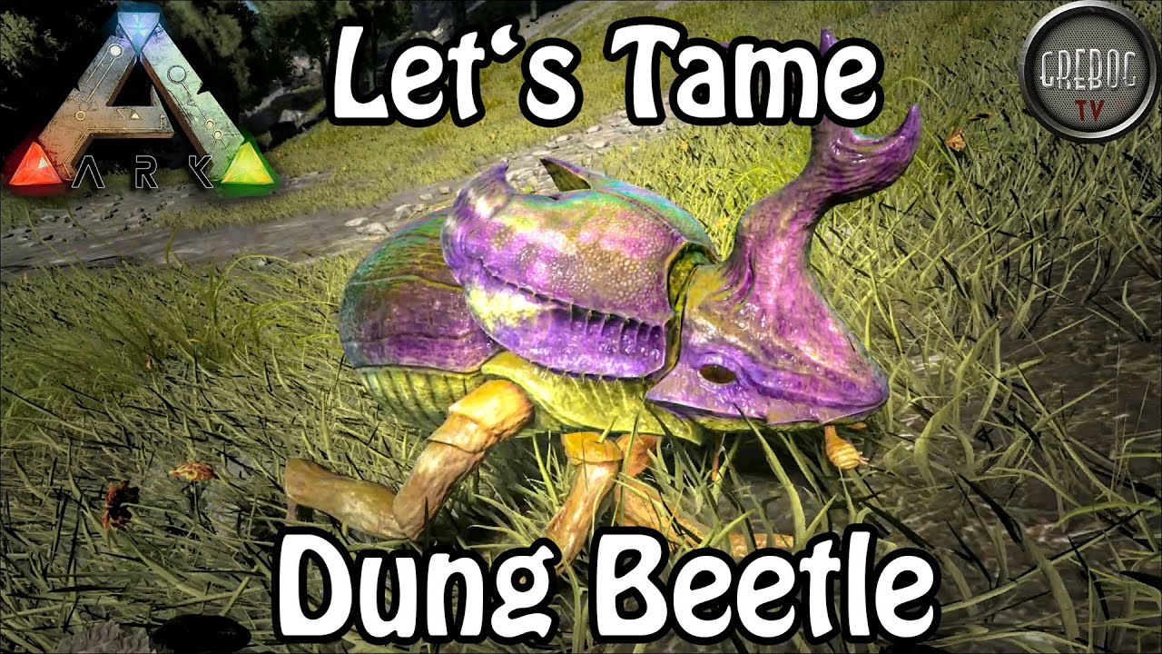 Ark: Survival Evolved - Let's Tame: Dung Beetle (deutsch)